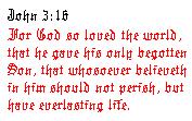 John 3:16 God so loved the world He gave his only begotten Son, that whosoever believeth in Him may not perish but have everlasting life