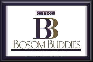 bosoom buddies logo