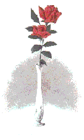 [ Image: 2 red roses in a vase ]