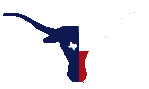 [ Image: steer skull/Texas flag ]