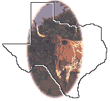 Texas w/Longhorn