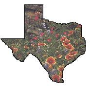 Texas w/Indian paints